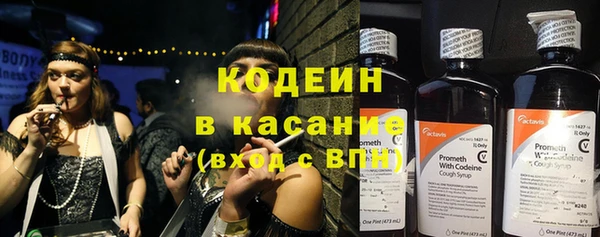 прущие грибы Абинск