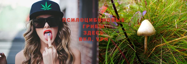 МДПВ Алексин