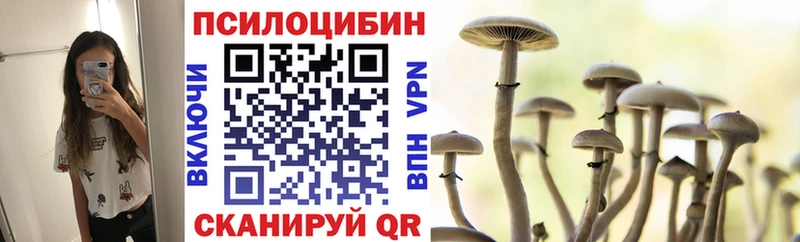 купить закладку  Ессентукская  Галлюциногенные грибы Cubensis 